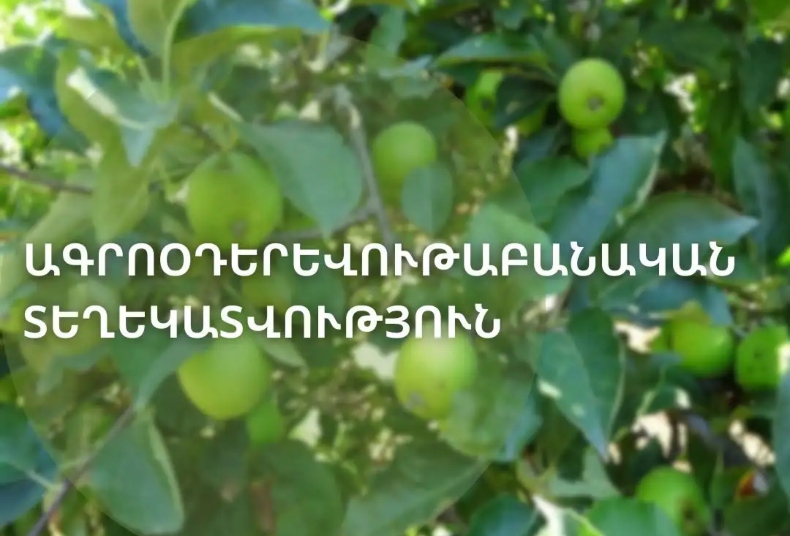 Blog single photo