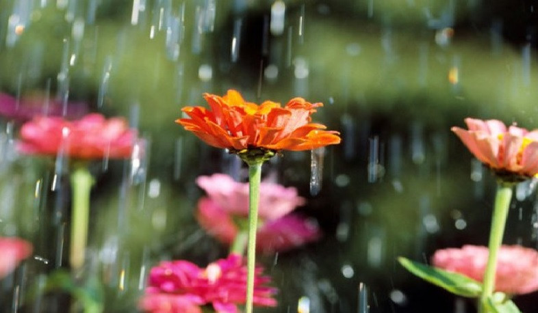 Blog photo