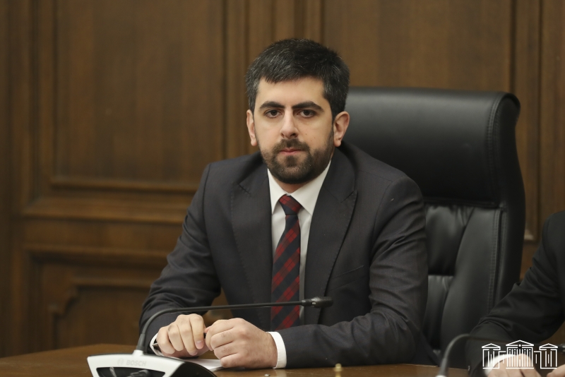 Նման որոշում կայացնելը չի բխում ՀՀ-ի և ՌԴ-ի բարեկամական հարաբերություններից. Խանդանյանը՝ ՌԴ-ի սահմանափակումների մասին